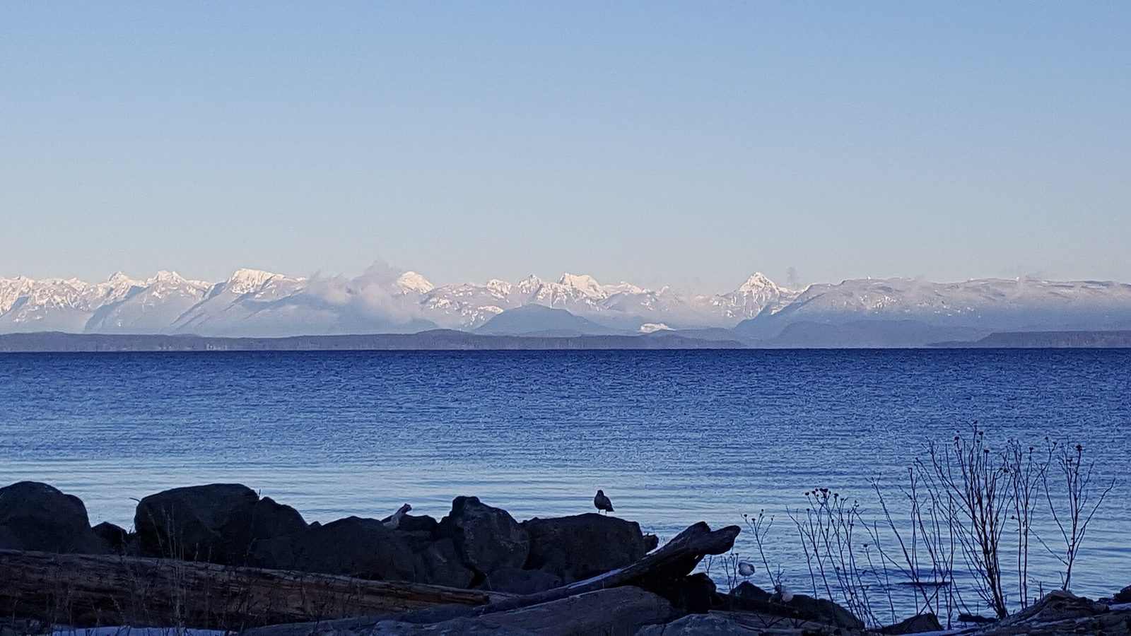 Things to do in Campbell River: salmon, sea and Strathcona