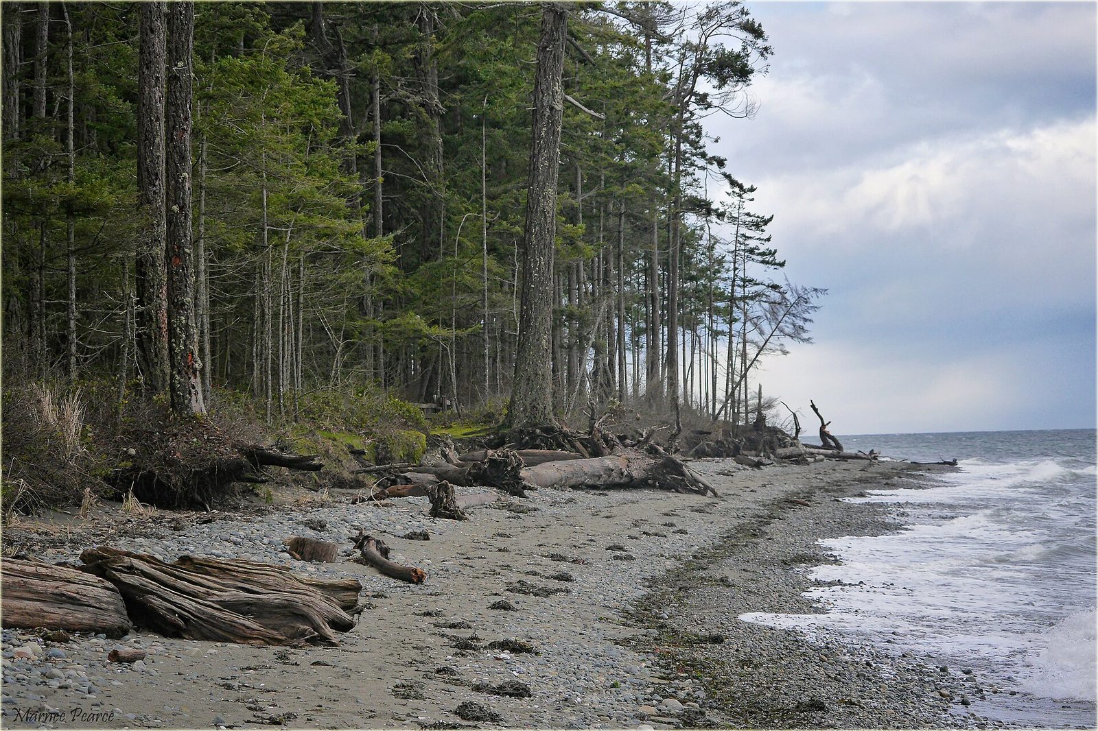 Vancouver Island with kids: what actually works