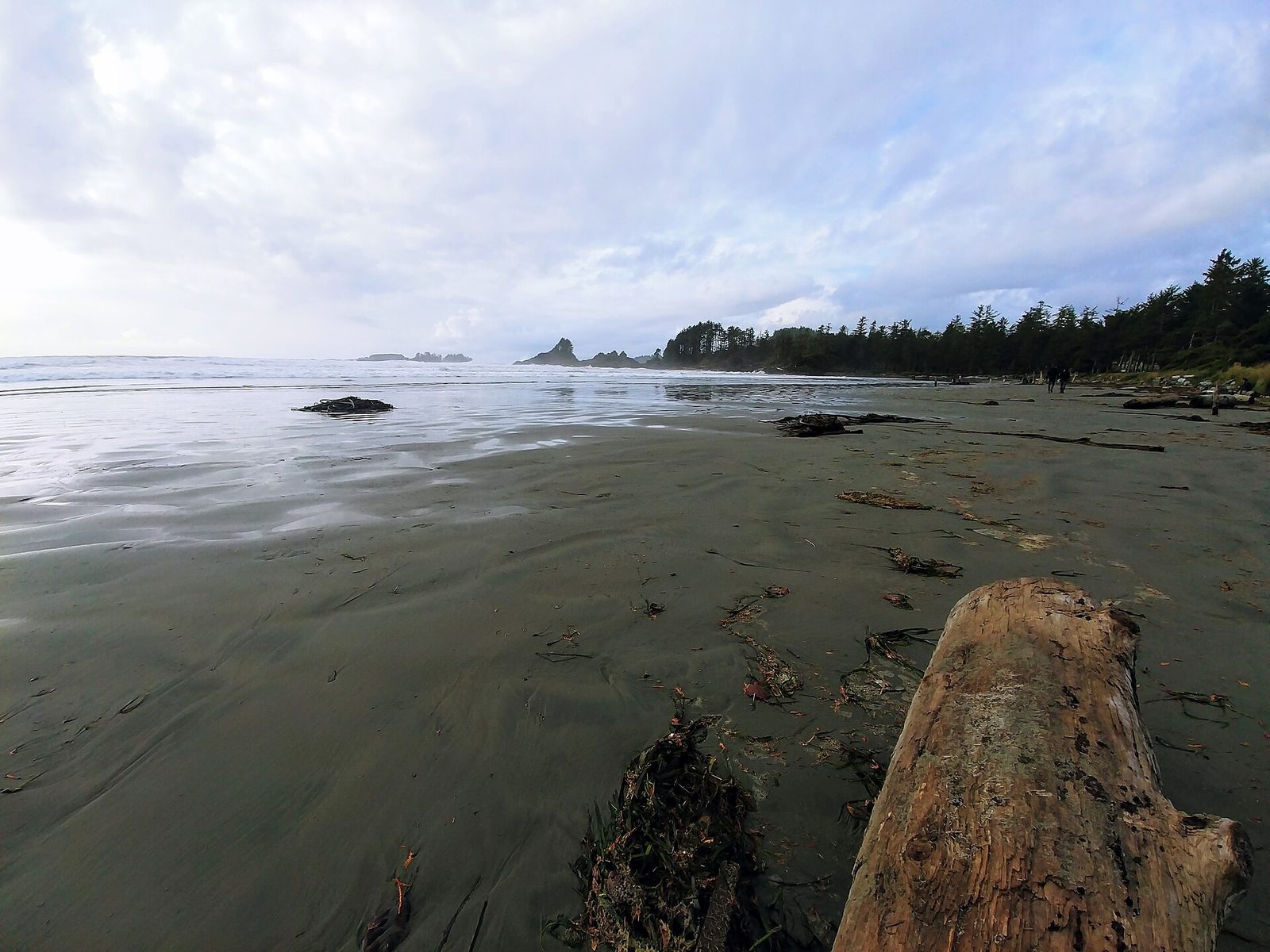 The best beaches on Vancouver Island