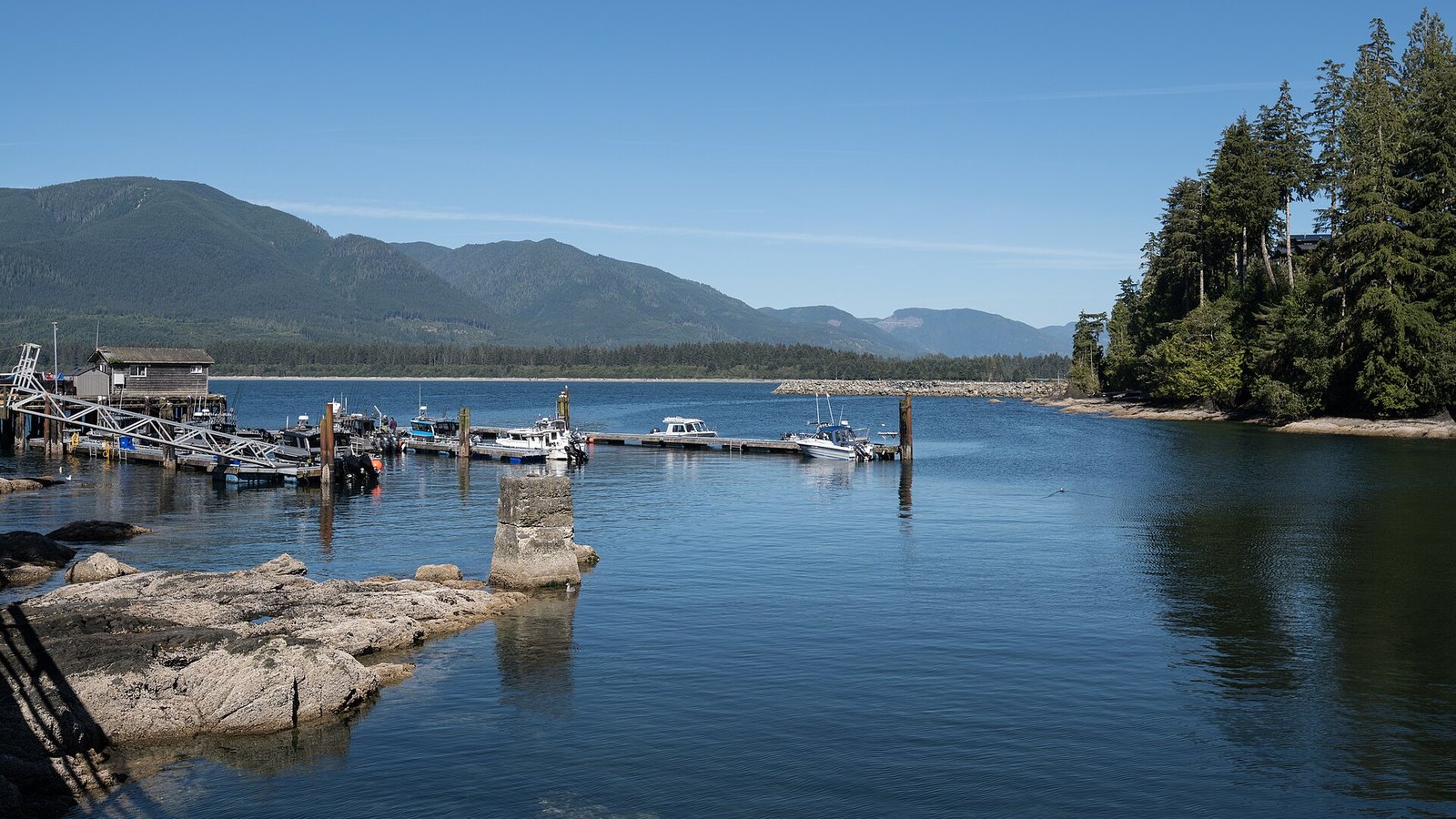 Port Renfrew: Botanical Beach, big trees and the end of the road