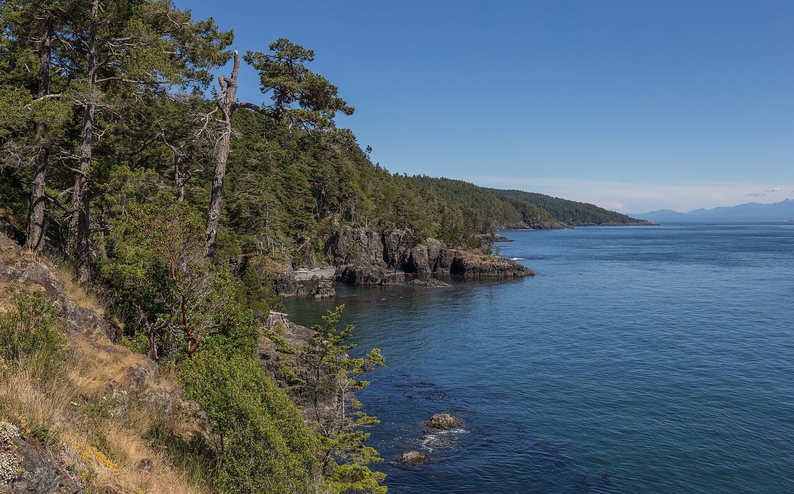 Sooke and the Juan de Fuca coast: an hour from Victoria