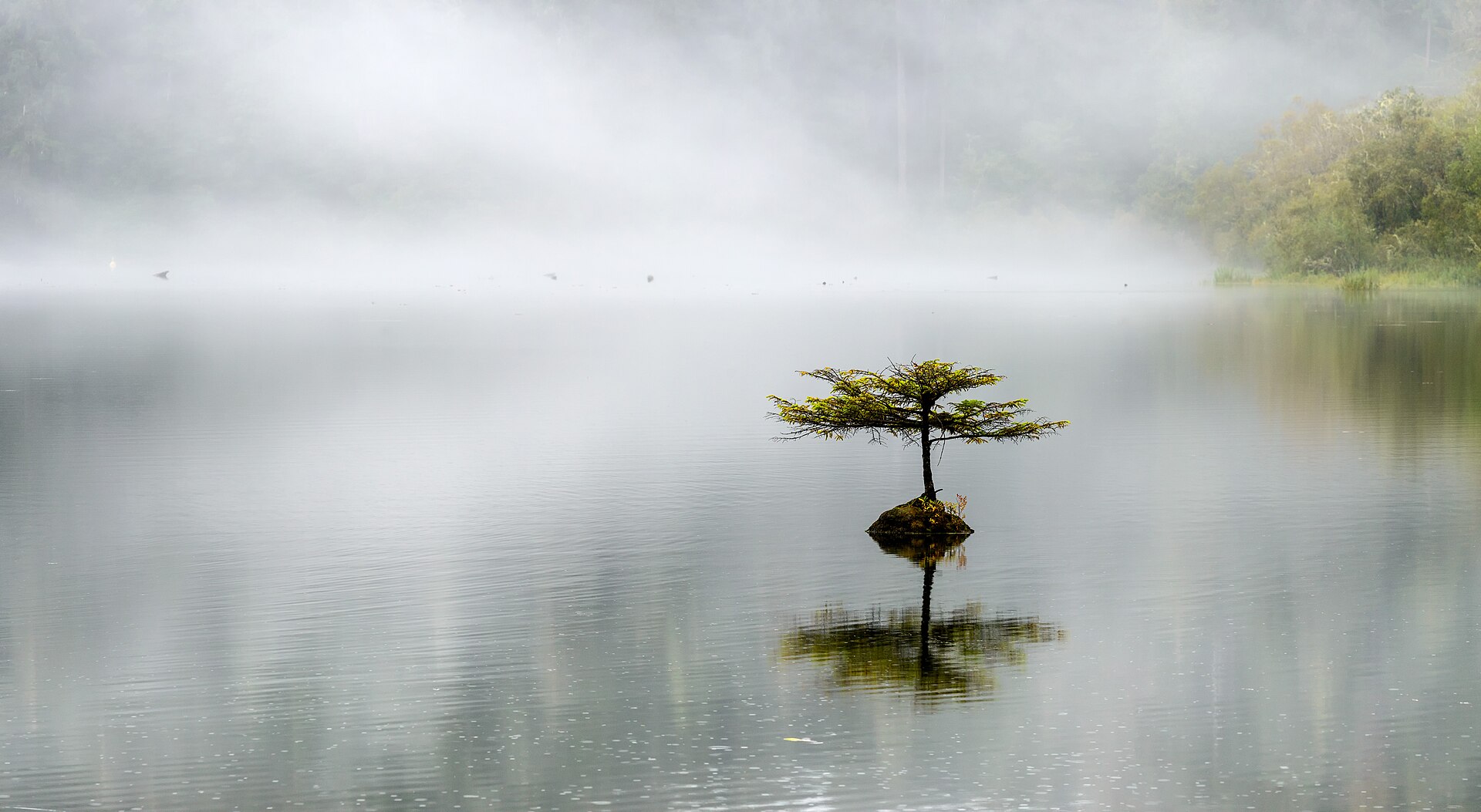 Fog rolling over Fairy Lake near Port Renfrew, Vancouver Island